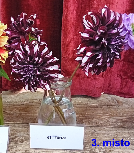 05-3 misto.jpg